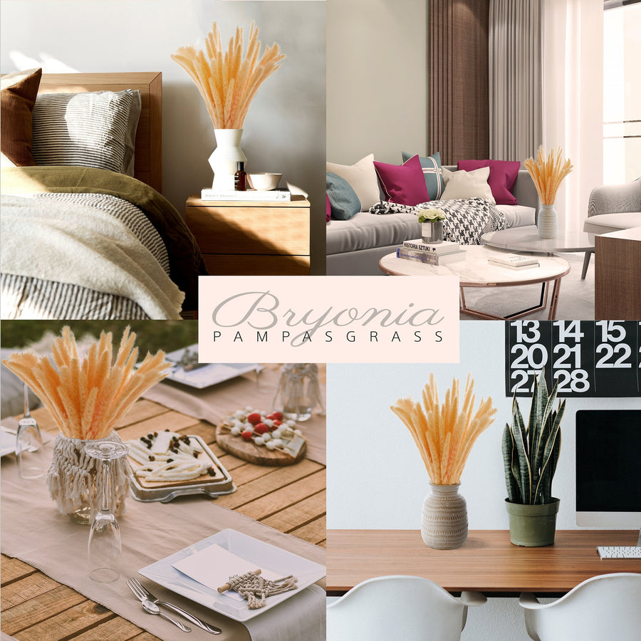 dried flower home deco