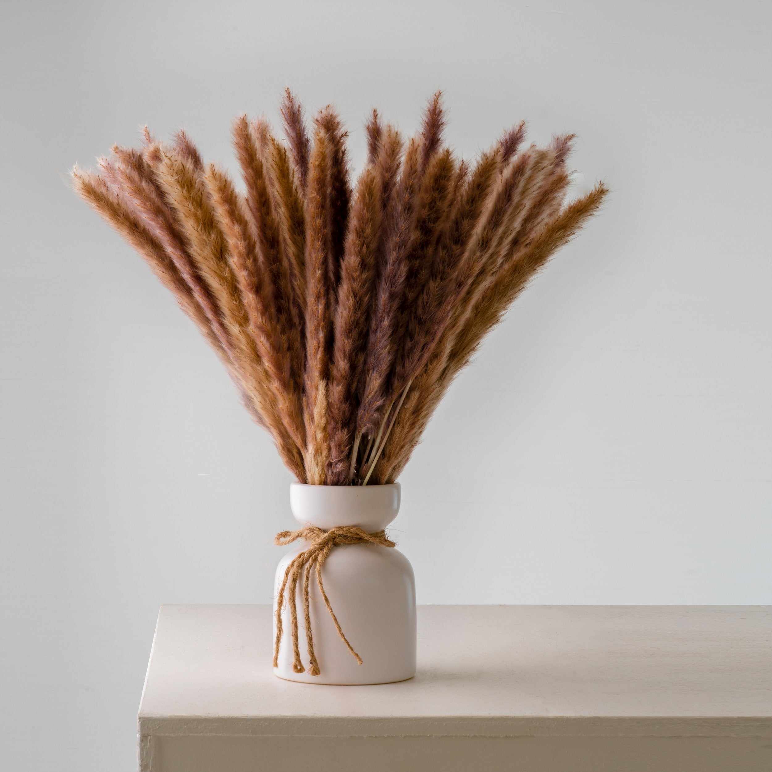 brown dried pampas grass