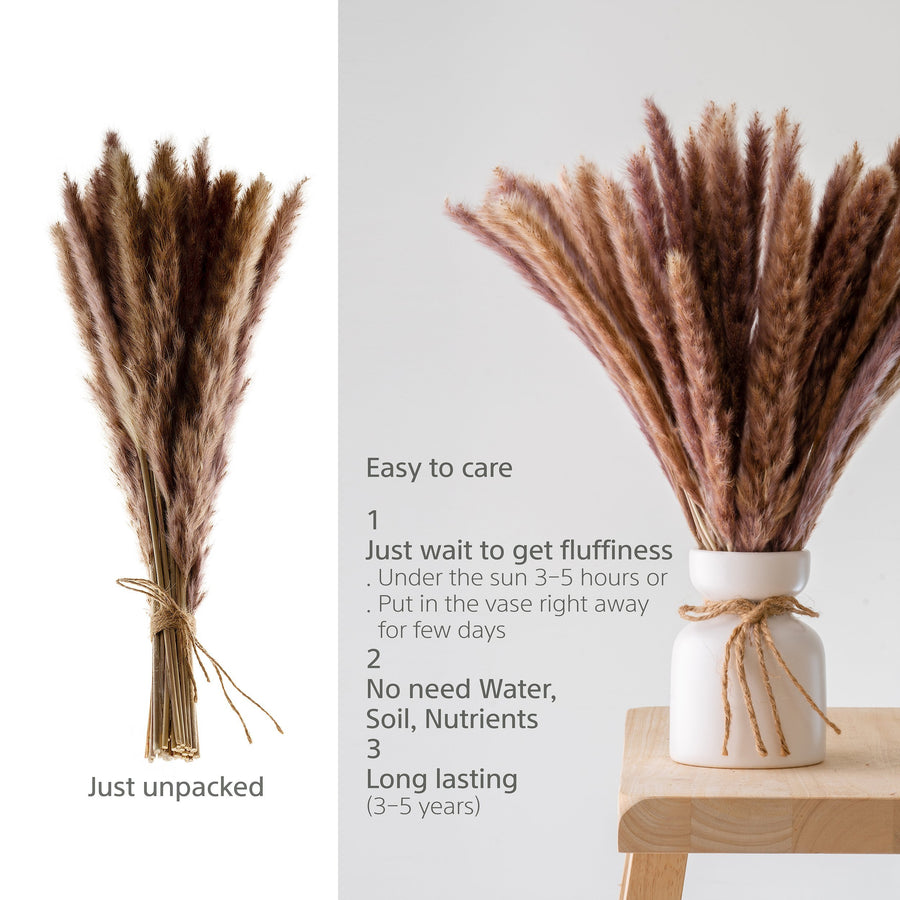 real pampas grass
